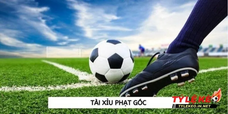 Cược tài xỉu phạt góc đơn giản, dễ thực hiện trong bóng đá