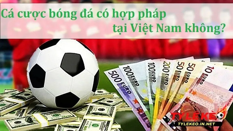 Tìm hiểu cá cược bóng đá có hợp pháp tại Việt Nam không?