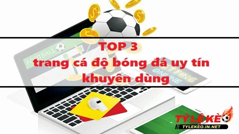 Top trang cá độ bóng đá uy tín để bạn tham khảo và trải nghiệm