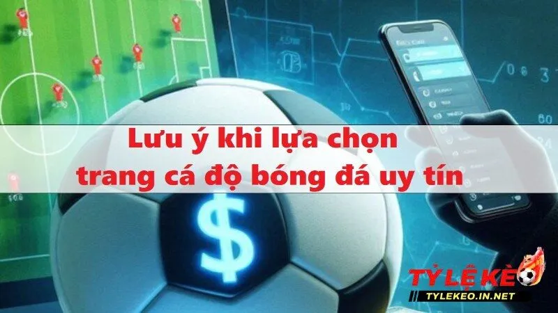 Một số lưu ý khi lựa chọn trang cá độ uy tín chất lượng